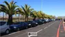 Parking Aéroport Nice P9 voitures garées sous des palmiers