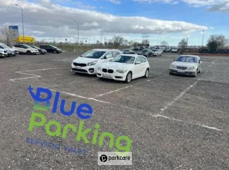 Blue Parking Valet image 4